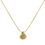 Golden Shell Necklace